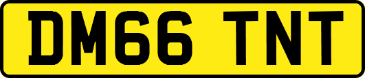 DM66TNT