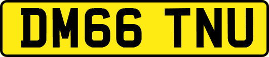 DM66TNU