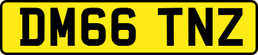 DM66TNZ