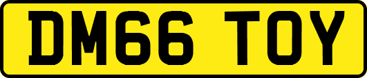 DM66TOY