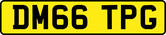 DM66TPG