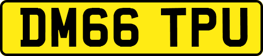 DM66TPU