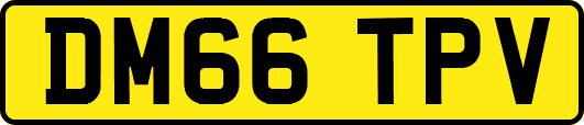 DM66TPV