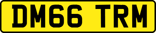 DM66TRM
