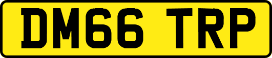 DM66TRP