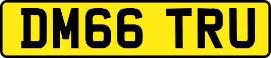 DM66TRU
