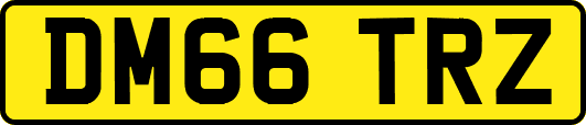 DM66TRZ