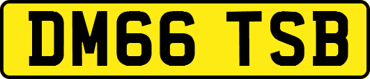 DM66TSB