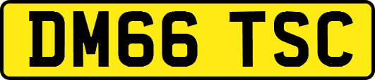 DM66TSC