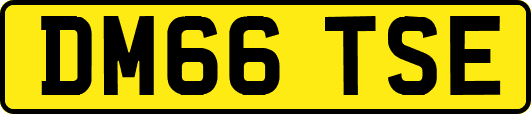 DM66TSE
