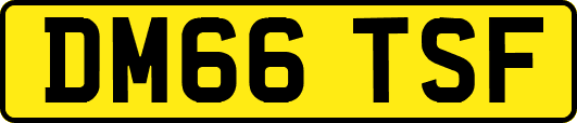 DM66TSF