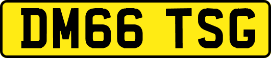 DM66TSG