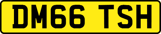 DM66TSH