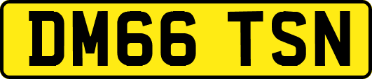 DM66TSN