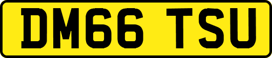 DM66TSU