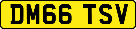 DM66TSV