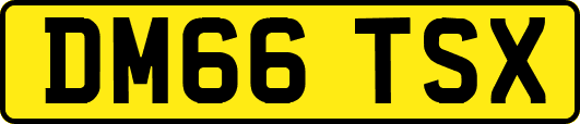 DM66TSX