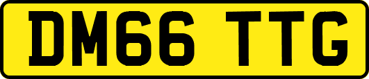 DM66TTG