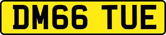 DM66TUE