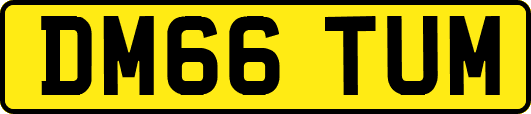 DM66TUM