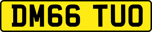 DM66TUO