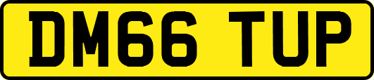 DM66TUP