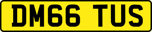 DM66TUS
