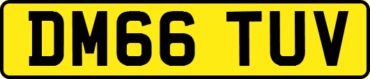 DM66TUV