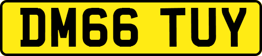 DM66TUY