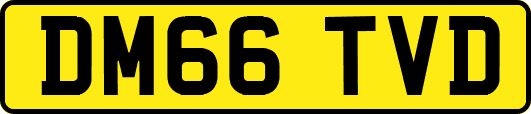 DM66TVD