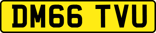 DM66TVU