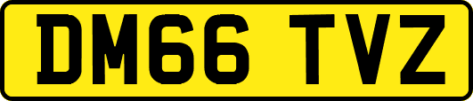 DM66TVZ