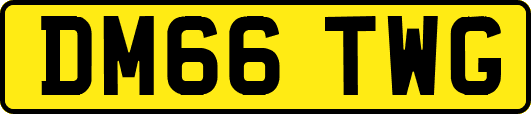 DM66TWG