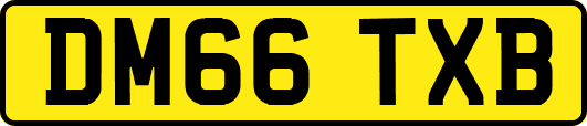 DM66TXB