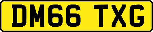 DM66TXG