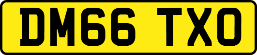 DM66TXO