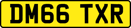 DM66TXR