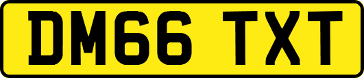 DM66TXT