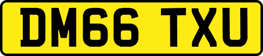 DM66TXU