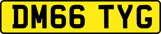 DM66TYG