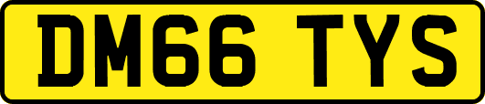 DM66TYS
