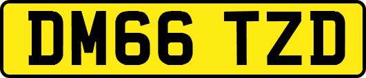DM66TZD