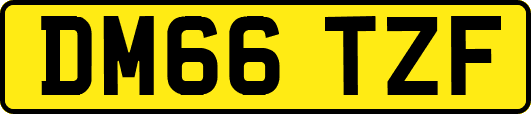 DM66TZF