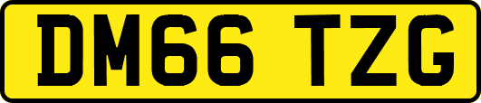 DM66TZG