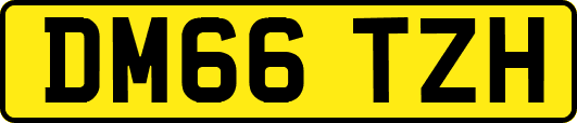 DM66TZH