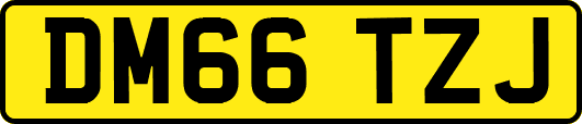 DM66TZJ