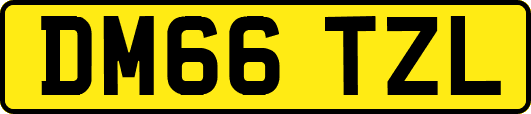 DM66TZL