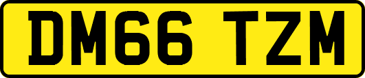 DM66TZM