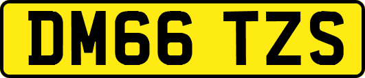 DM66TZS