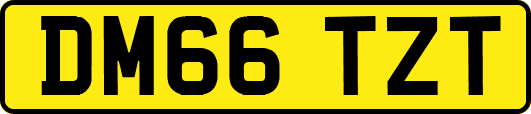 DM66TZT